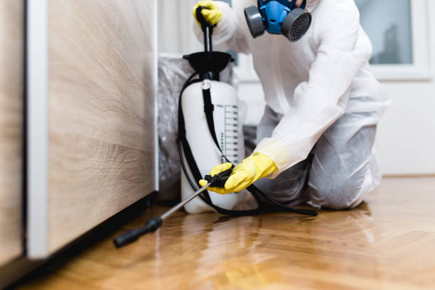 Best Pest Prevention Services  in Wade, MS