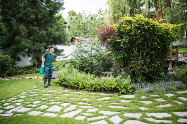 Best Mosquito Control Services  in Wade, MS
