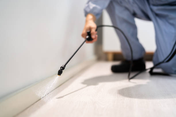 Pest Control Cost in Wade, MS