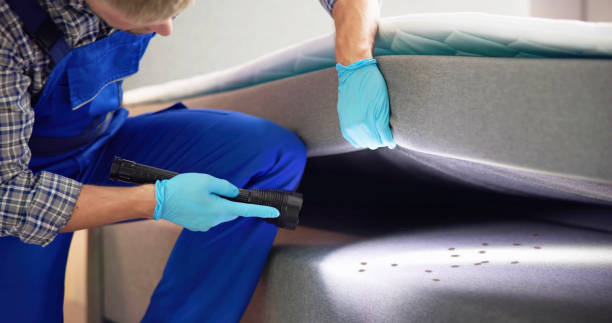Trusted Wade, MS Pest Control Experts