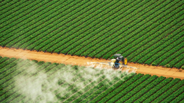 Best Commercial Pest Control Services  in Wade, MS