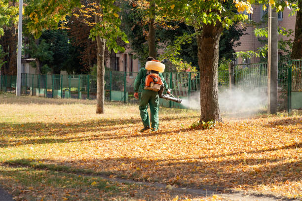 Professional Pest Control in Wade, MS