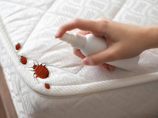 Best Insect Control  in Wade, MS