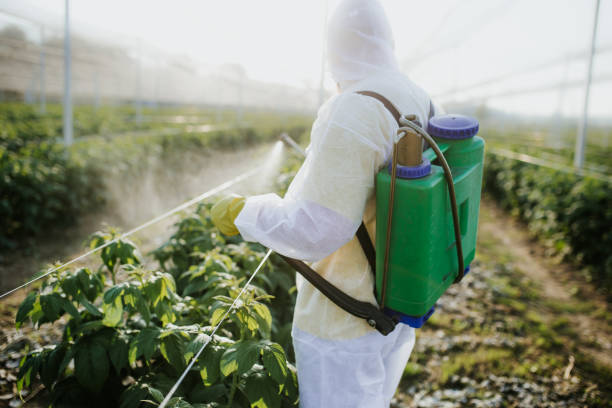 Best Insect Control  in Wade, MS